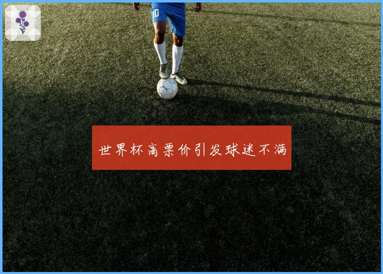 世界杯高票价引发球迷不满